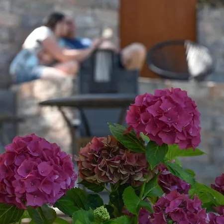 Apartament Haus Marianne Am Maar|