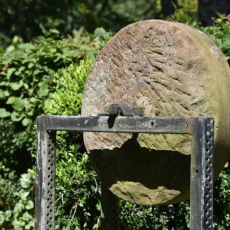 Апартаменты Haus Marianne Am Maar|