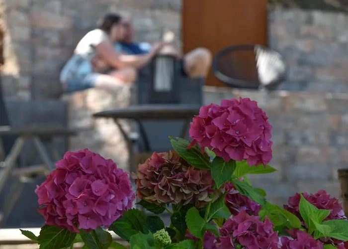 Апартаменты Haus Marianne Am Maar|