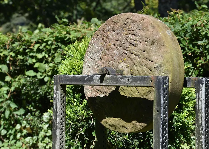 Апартаменты Haus Marianne Am Maar|